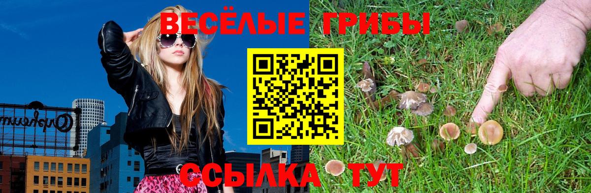 Псилоцибиновые грибы прущие грибы  Вход с VPN  цена наркотик  Энгельс 